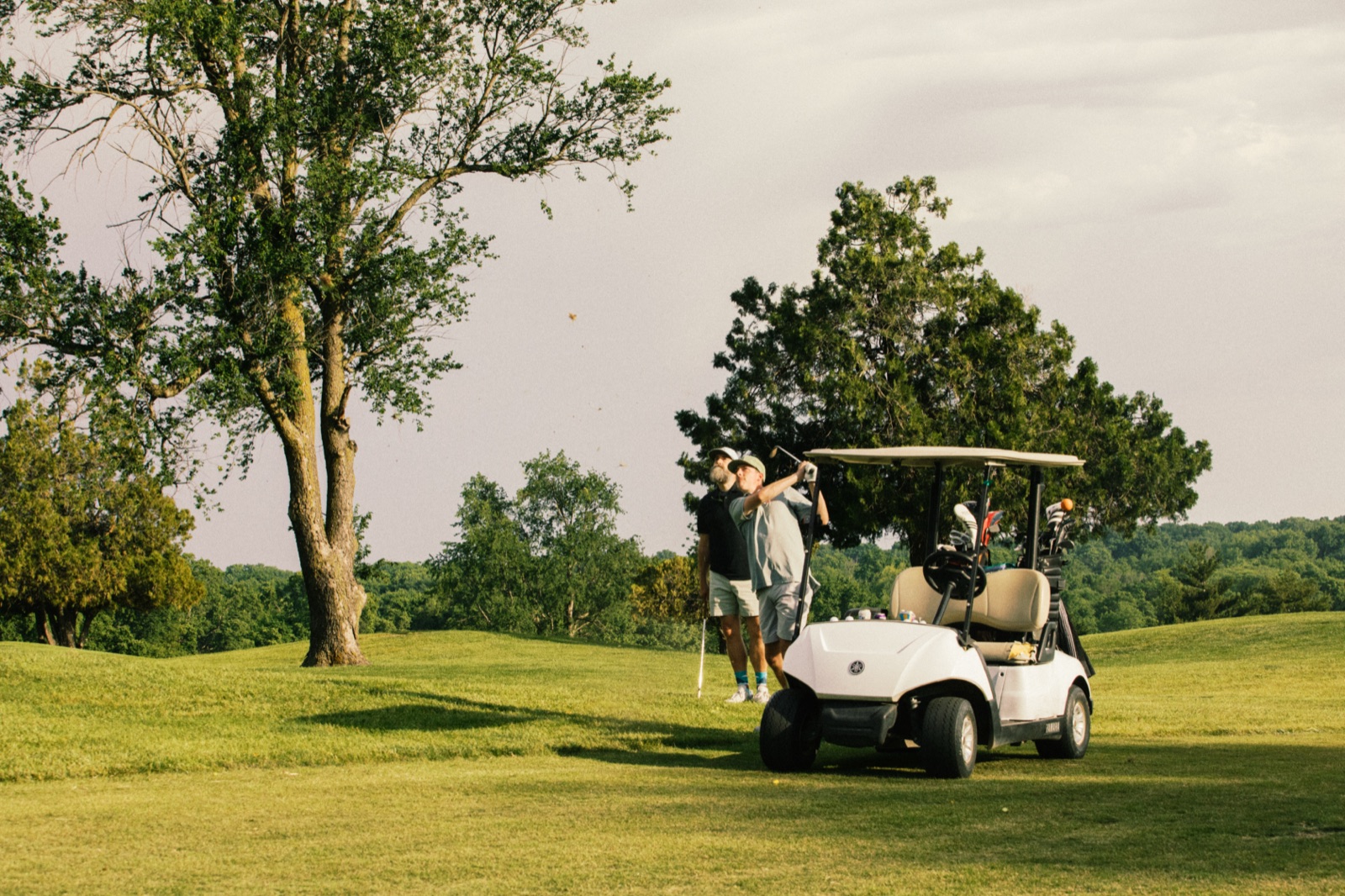 Two golf carts parked on the fairway at dusk