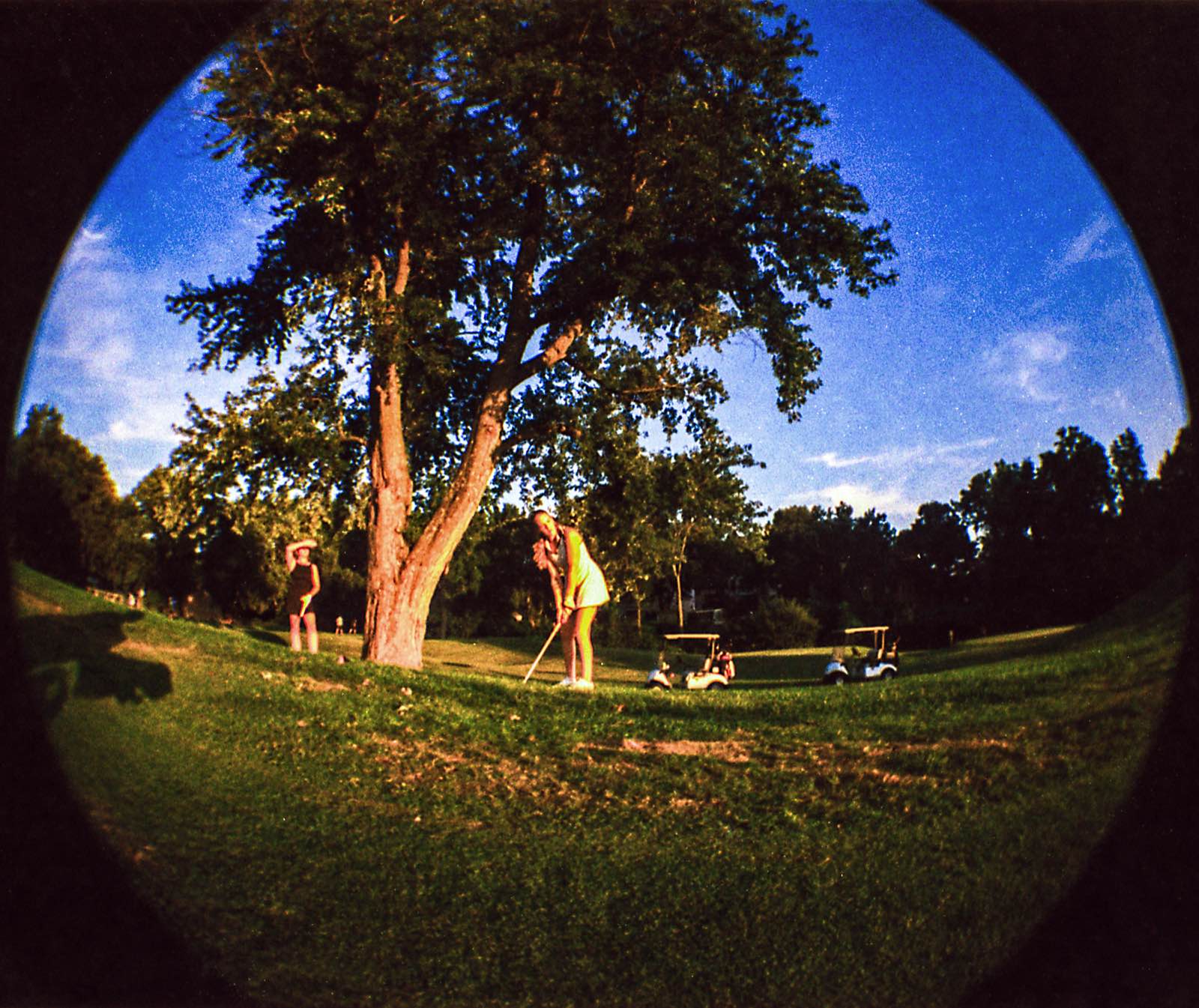 Two league members under a big tree as one lines up a putt, carts waiting on the path